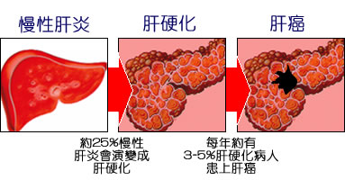 βݻ1.jpg