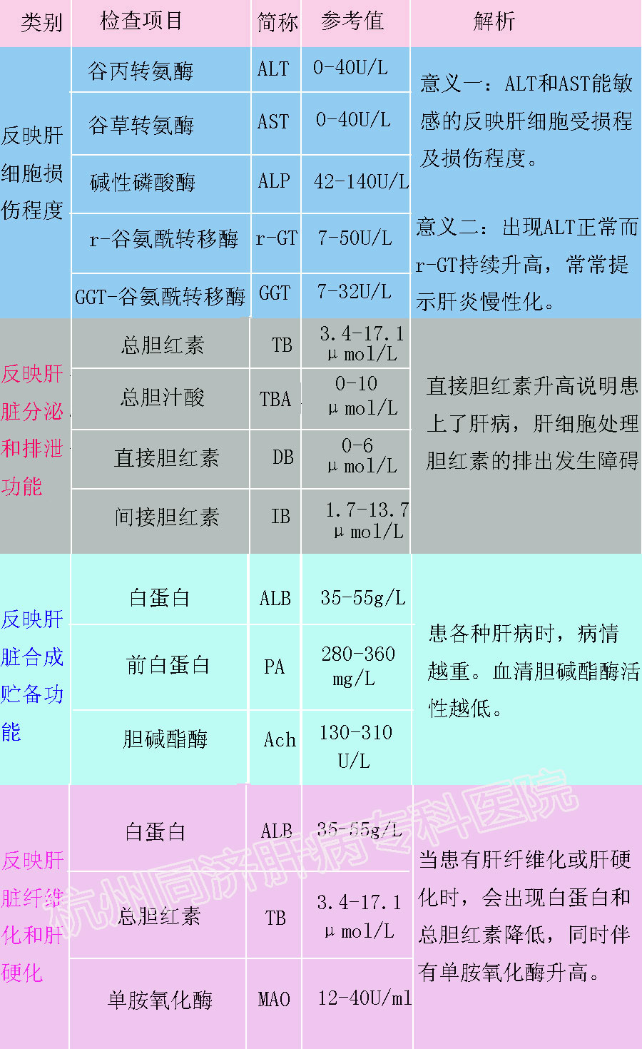 肝脏.jpg